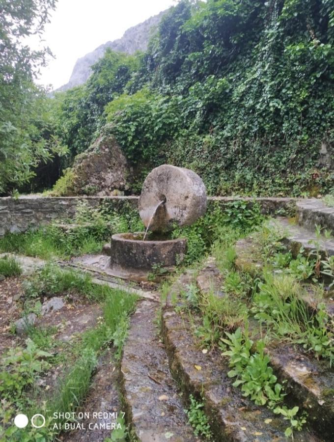 Alojamientos Sierra De Cadiz Benamahoma Kültér fotó