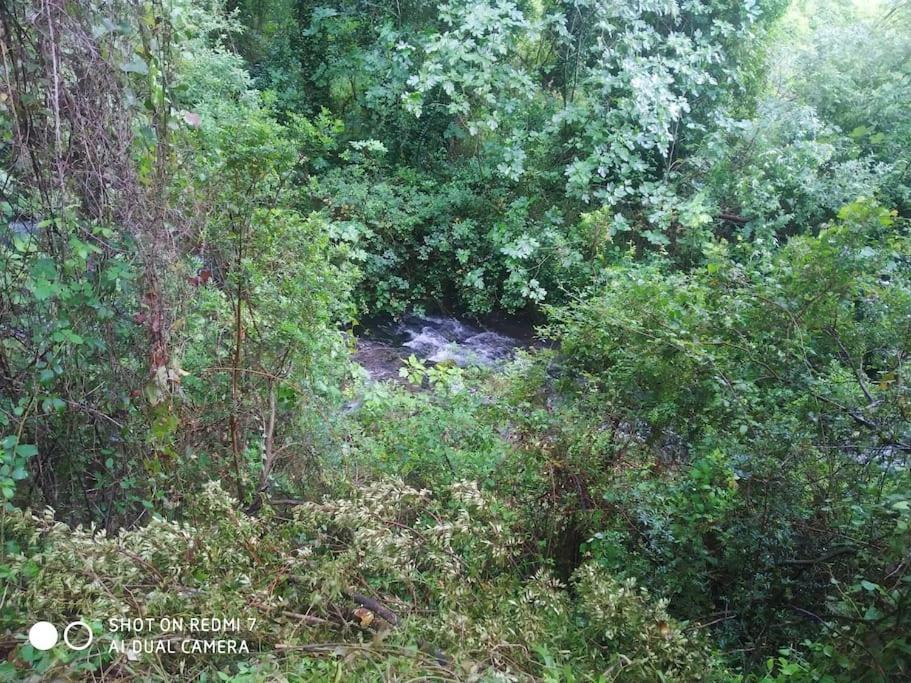 Alojamientos Sierra De Cadiz Benamahoma Kültér fotó