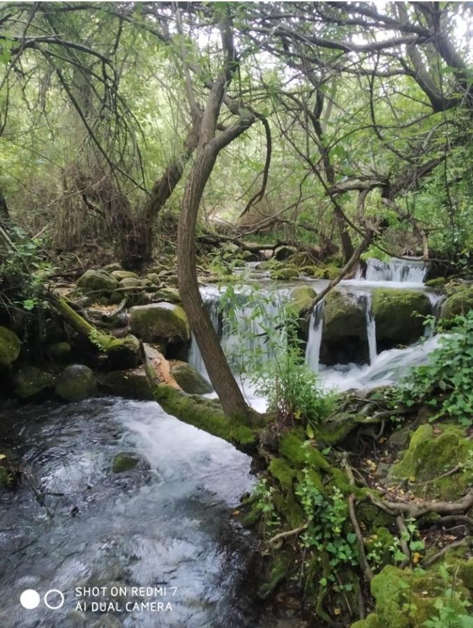 Alojamientos Sierra De Cadiz Benamahoma Kültér fotó